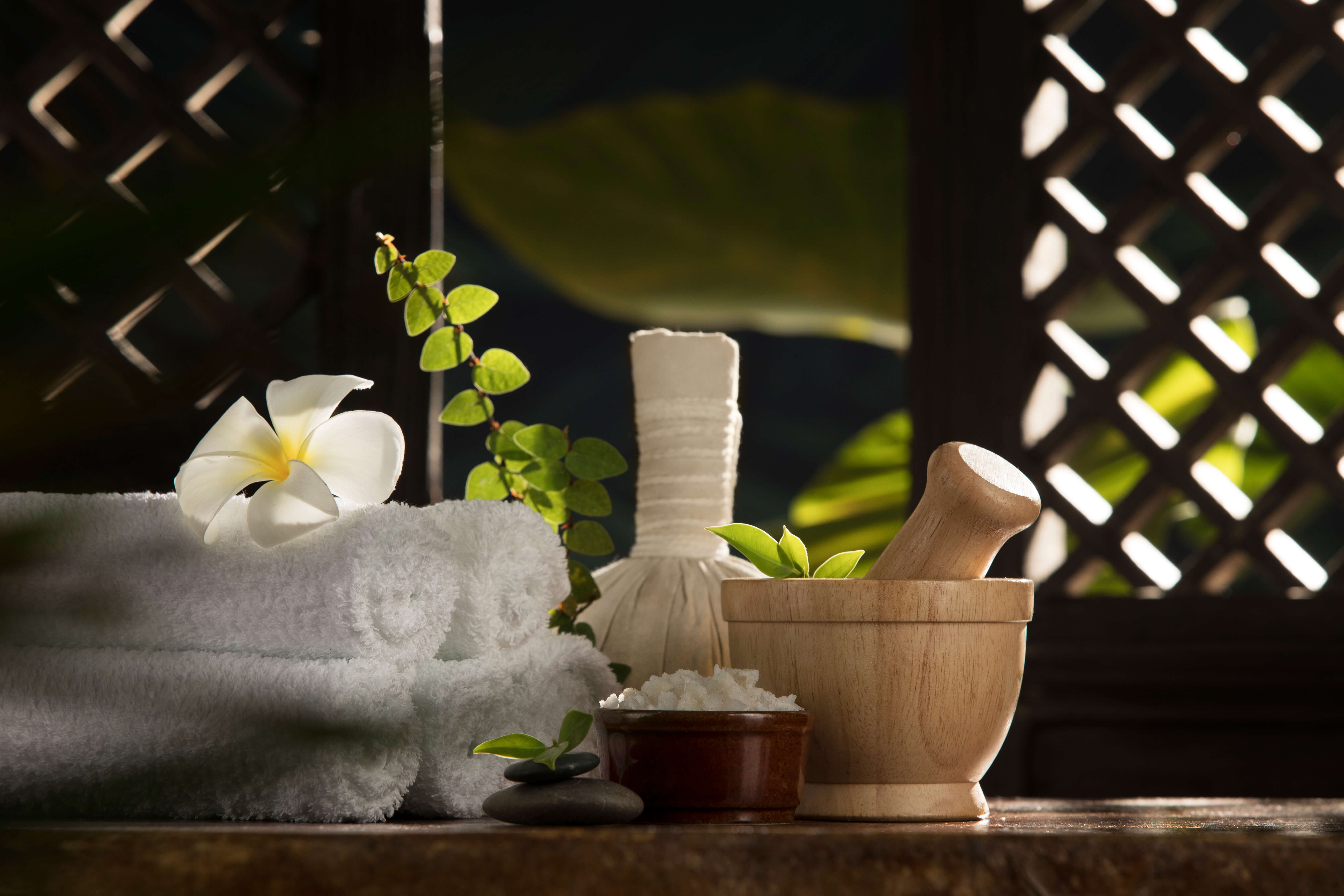 ayurveda