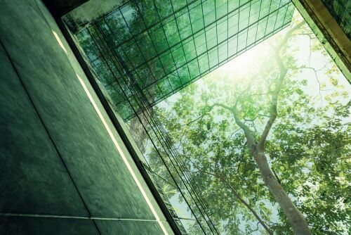 carbon disclosures