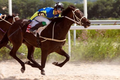 horse racing